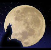 [blogs_warewolf.gif]