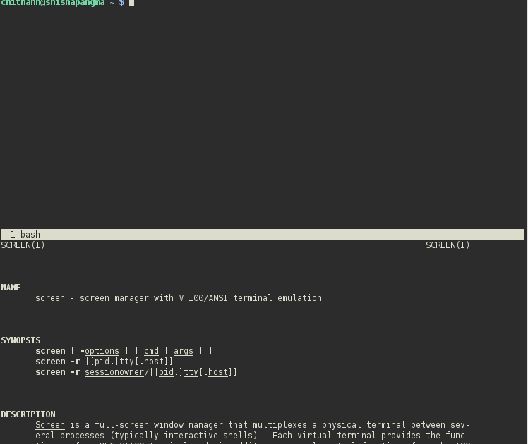 Blog Nguyễn Chí Thanh Christopher Threeway mini shootout between GNU screen, tmux and dtach+dvtm