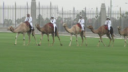 Camel Riders