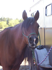 Cocoa saying 'hi'!