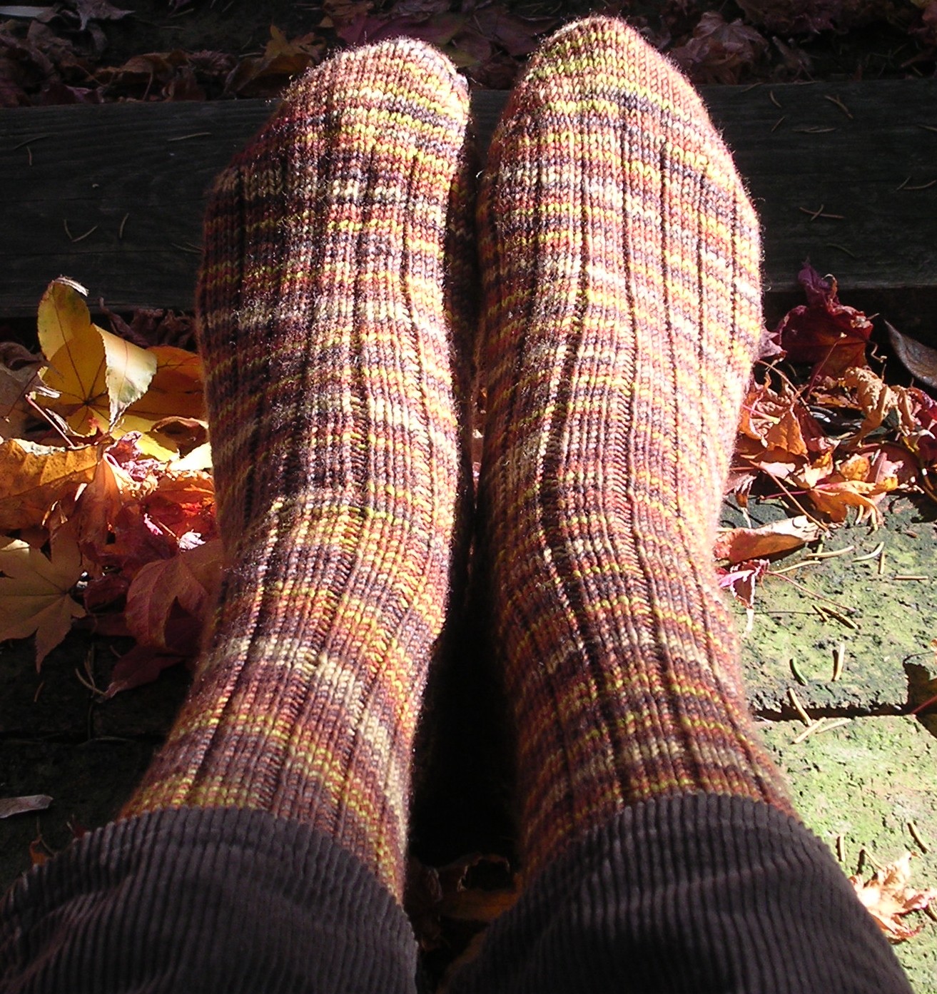 [AutumnSocks2.JPG]