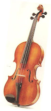 Viola