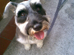 Stop taking photos, ma ma!