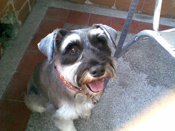 Toast please, ma ma!