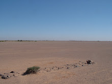 Western Sahara