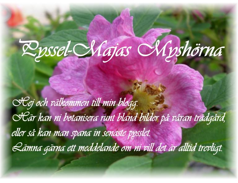 Pyssel-majas myshörna