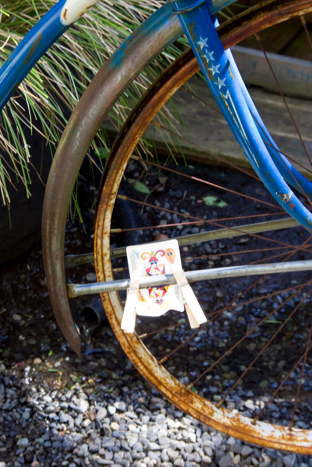 This is how I see the world..... May 2010