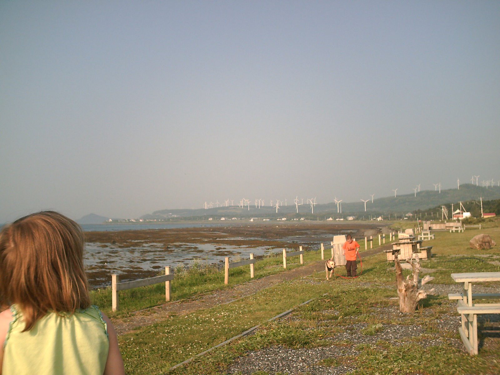 [PICT0070.JPG]