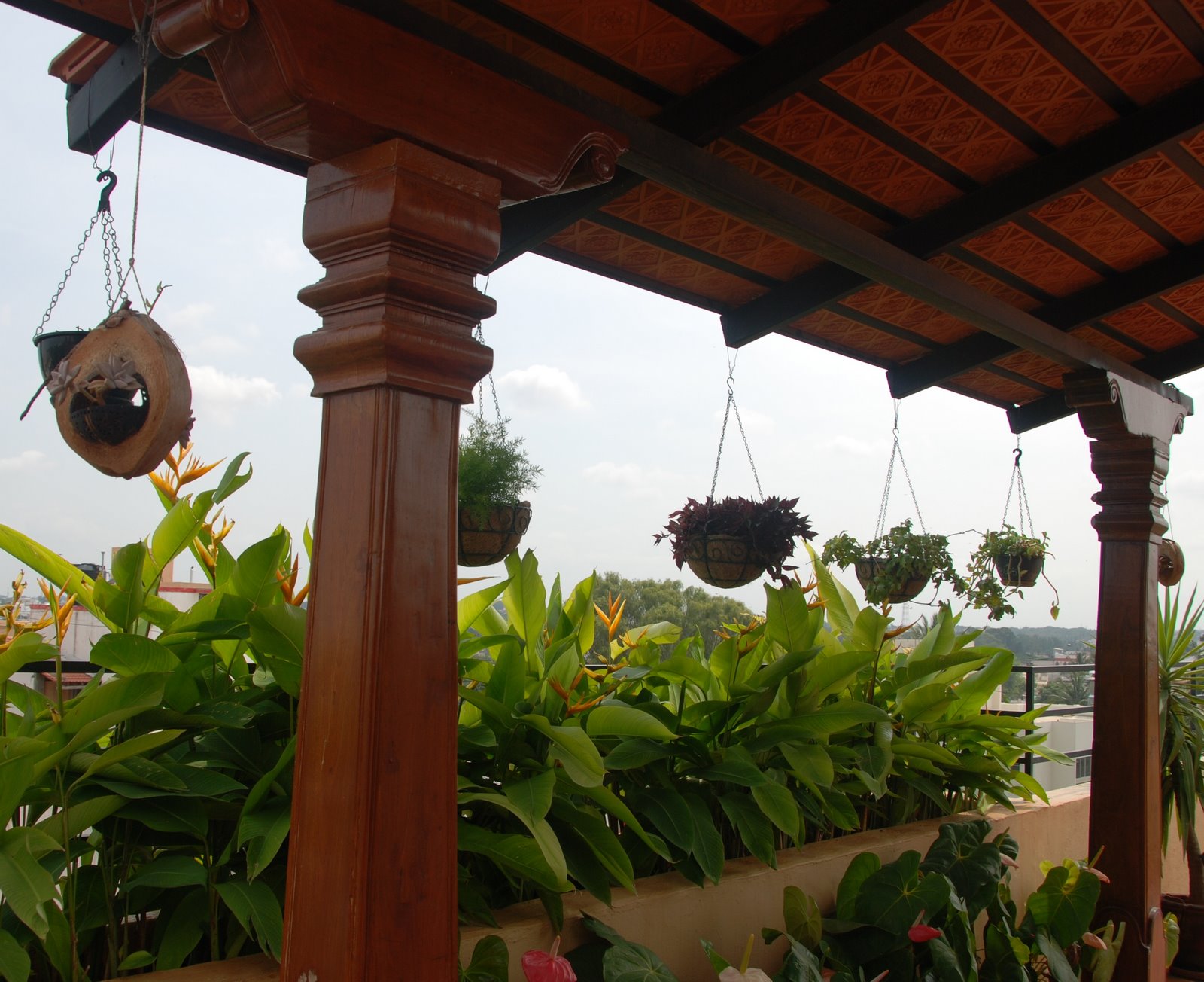 [hanging+planters.JPG]