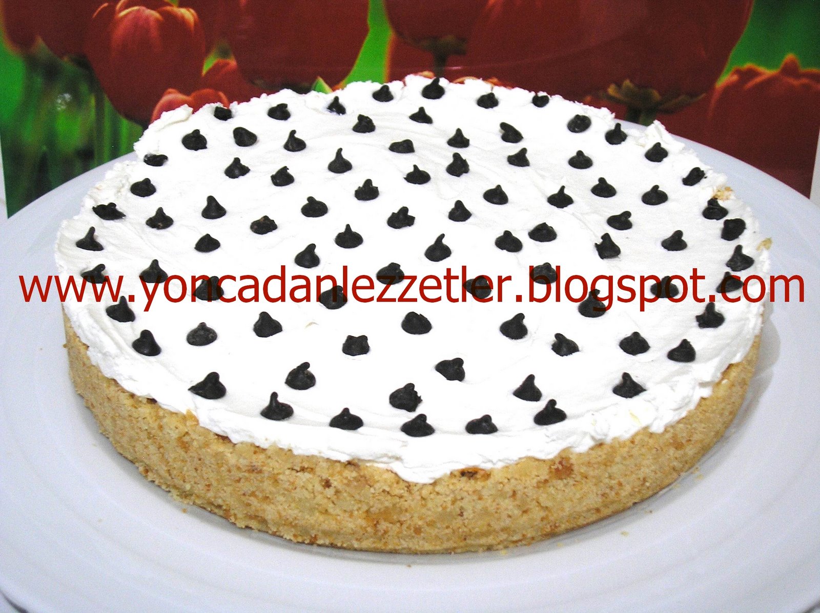 [cheesecake1.JPG]