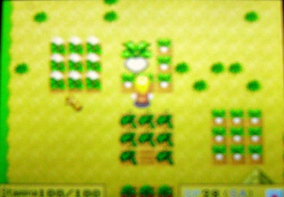 Harvest Moon Forever The Legendary Harvest Sprites in HM DS and Cute