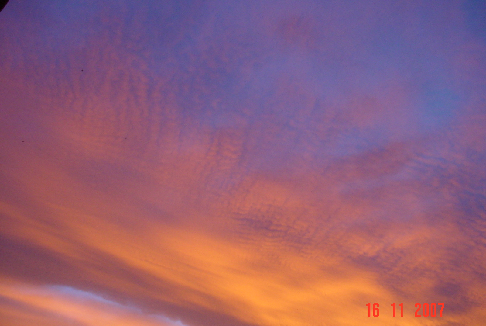 [DSC05655.JPG]