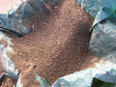 Home Made Compost... is easy to make...