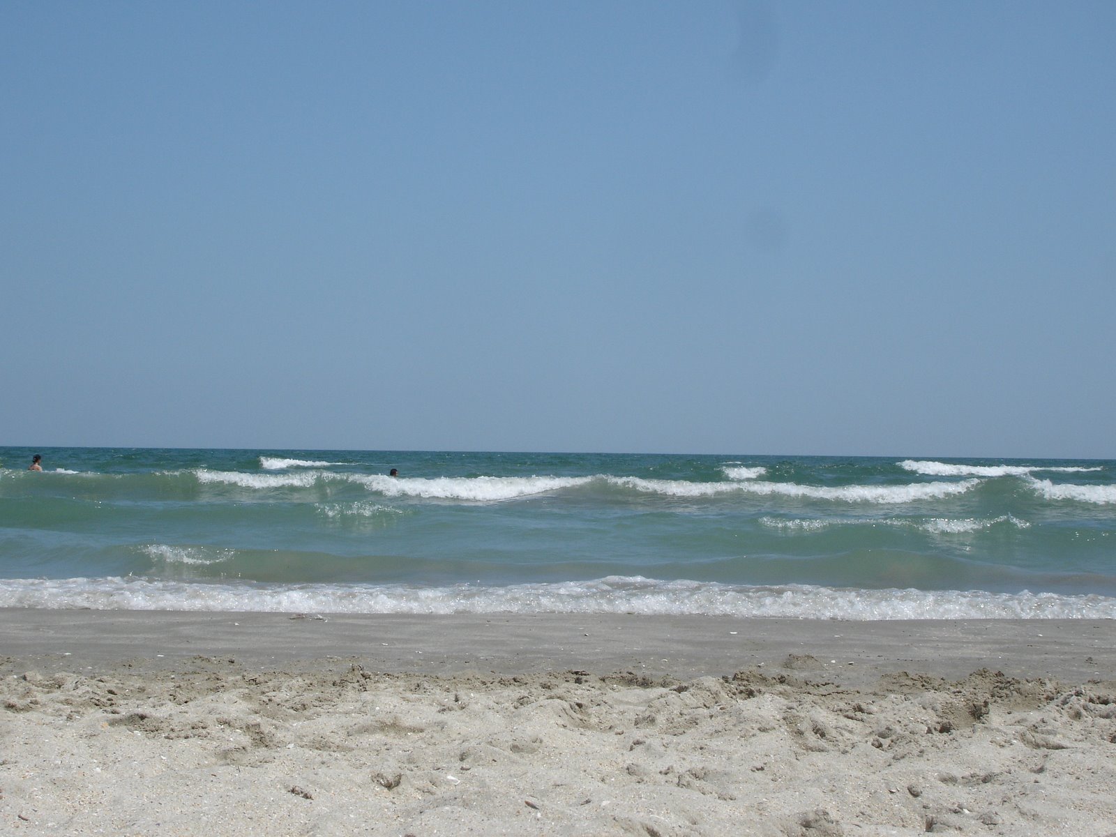 [DSC06368.JPG]