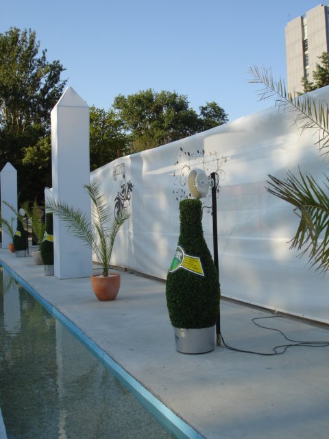[DSC07069.JPG]