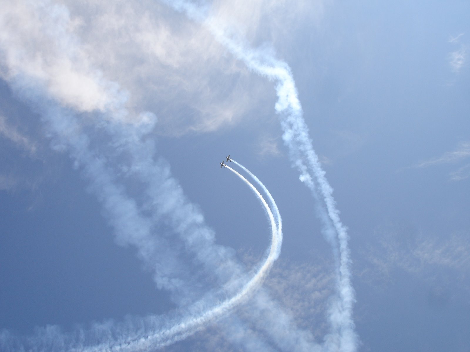 [DSC07037.JPG]