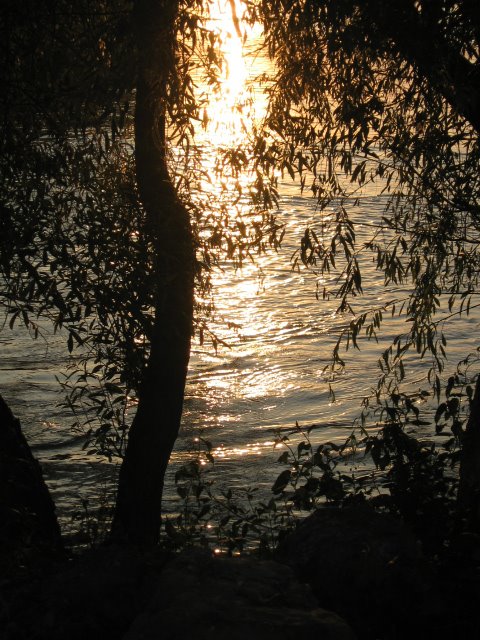[IMG_7261.JPG]