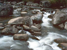 rio das pedras