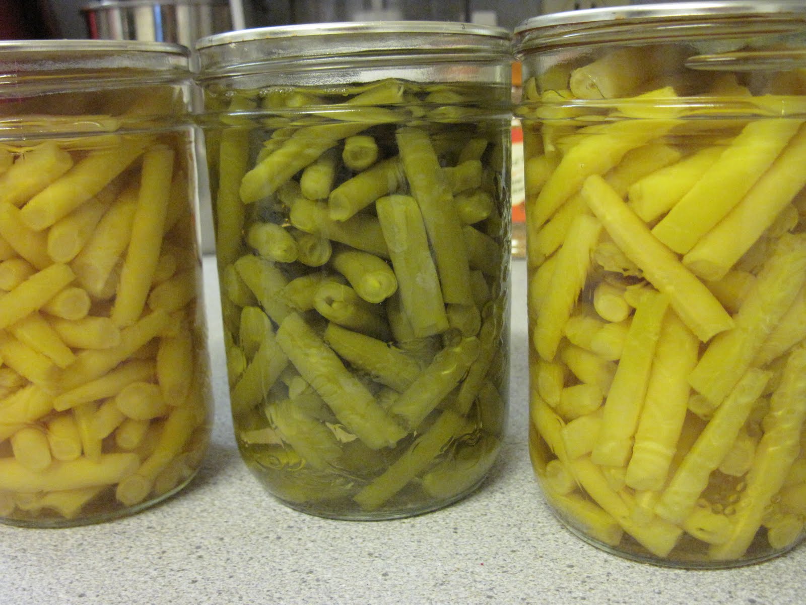 Bella Coola Blog Straight Forward Weather