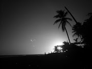 tuico en blanco y negro (blanco negro)