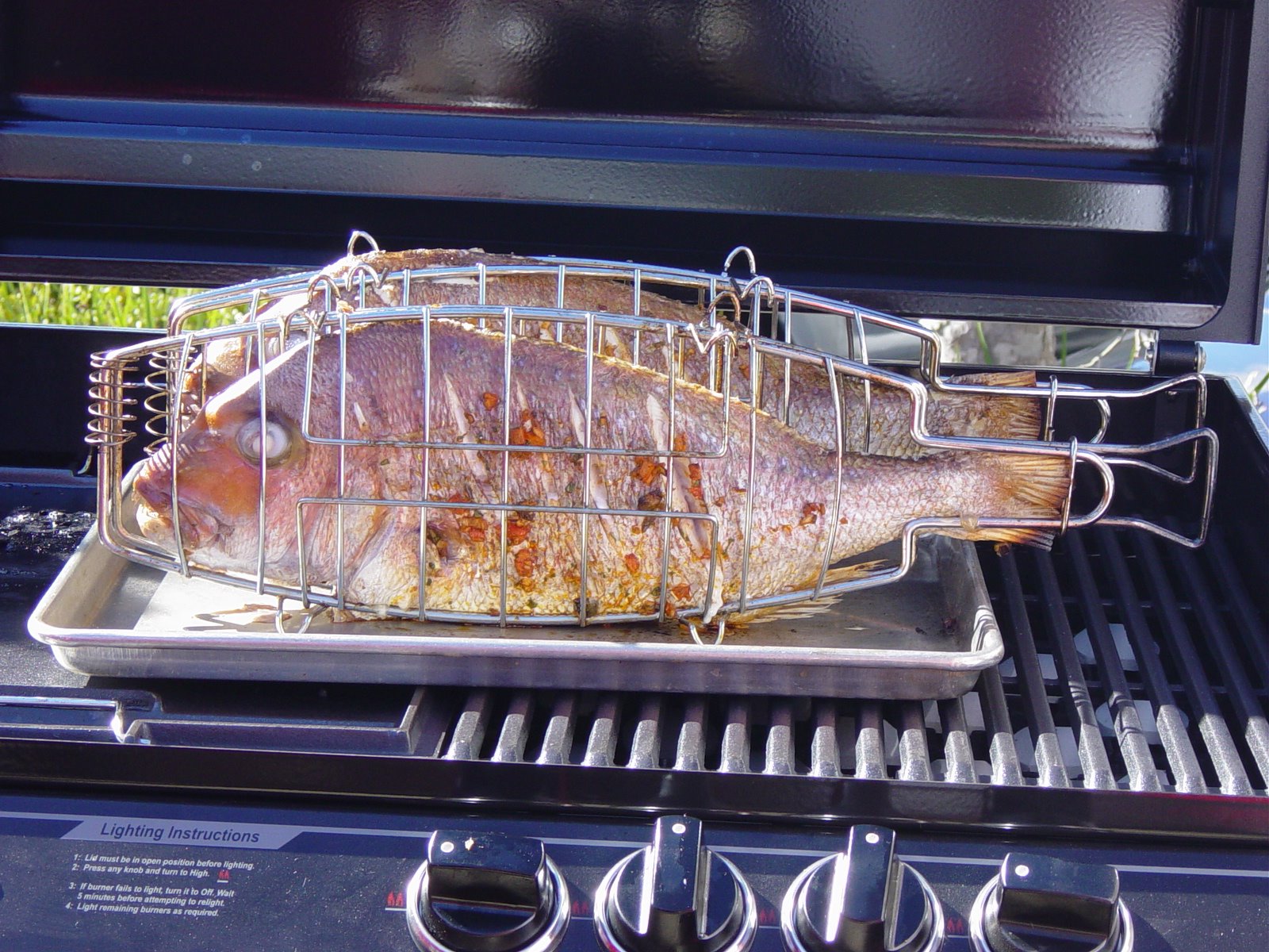 [Whole+BBQ+Snapper.jpg]