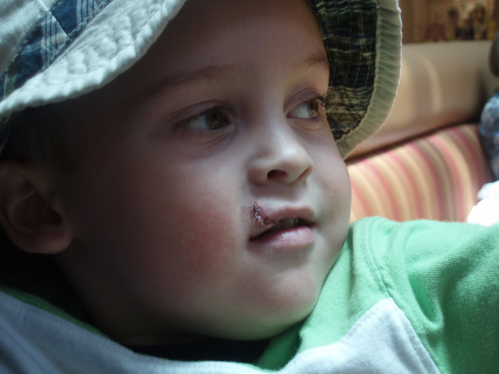 A Beagle and A Baby Healing