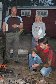Moskiittoja Lapissa