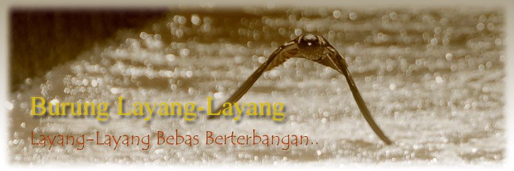 Burung Layang-Layang