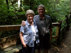 Pierson Falls, Saluda, NC