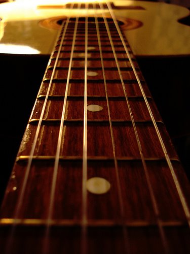 [2258448897_e3eb025dd9.jpg]