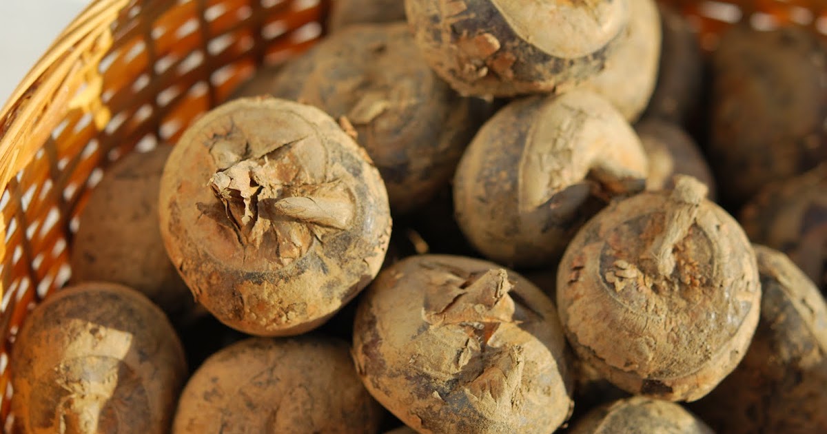 Greenish Thumb Growing, Buying, Cooking Water Chestnuts