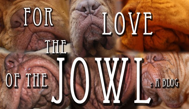 For the Love of the Jowl: a Blog