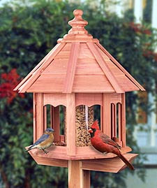 Nis aves: Escoger un comedero para pájaros