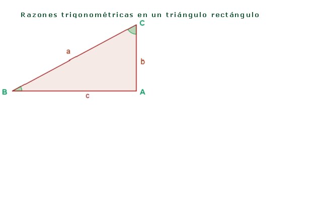 [RAZONES.bmp]