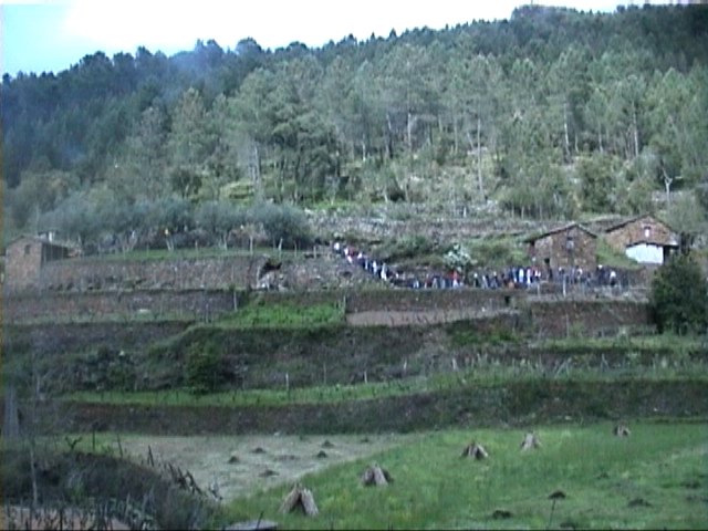 [DSC00488.jpg]