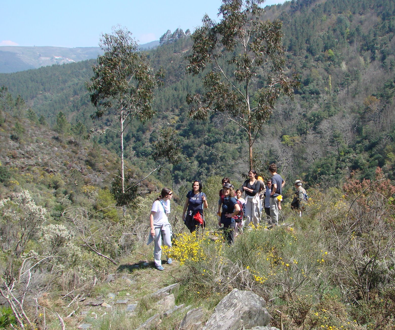 [DSC09679.JPG]