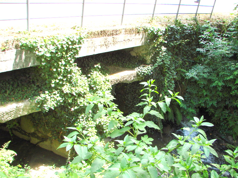 [DSC01731.JPG]