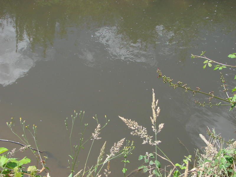 [DSC01736.JPG]
