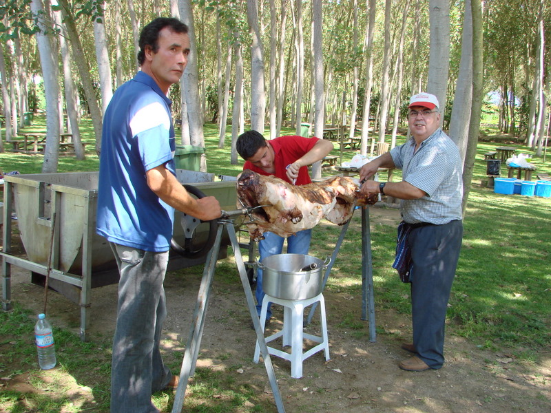 [DSC07401.JPG]