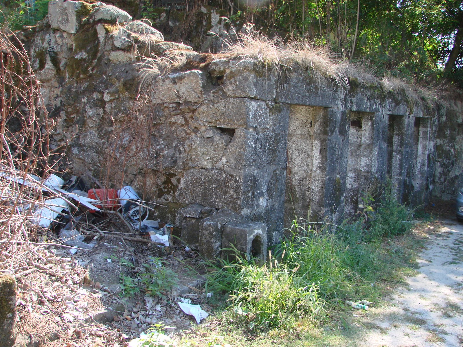 [DSC02408.JPG]