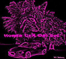 Montaje con mi coxecito!