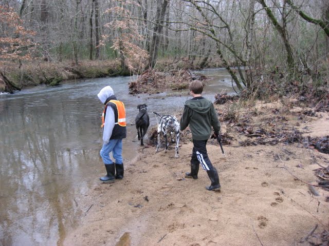 [IMG_1394.JPG]