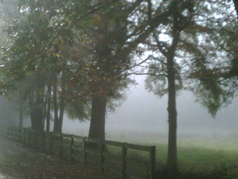 [morningfog.jpg]