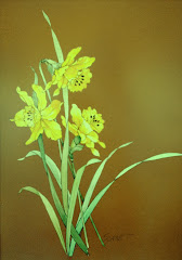 Daffodil Still Life