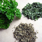 Parsley 4