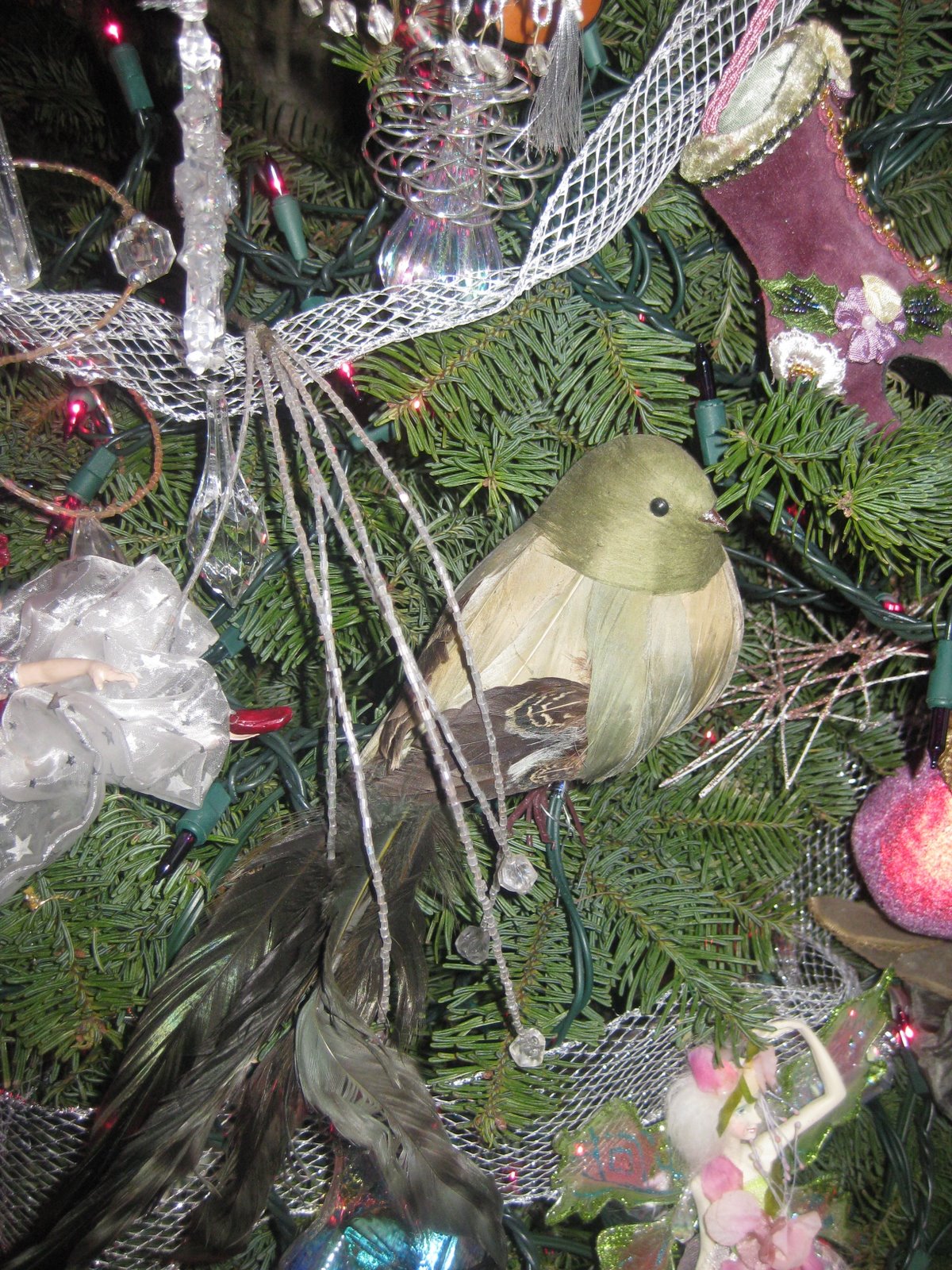 [IMG_0229.JPG]