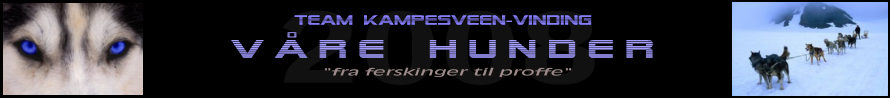Våre hunder