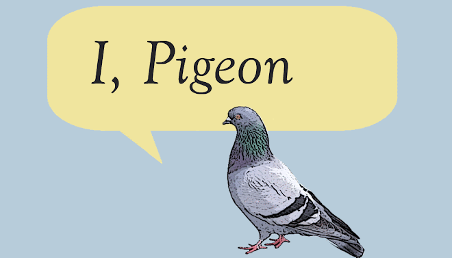 I, Pigeon