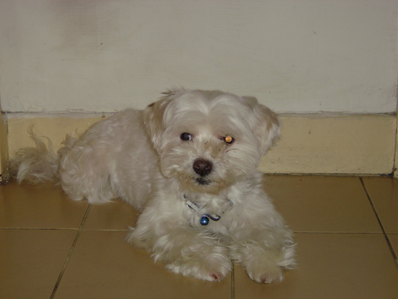 [DSC00235.JPG]