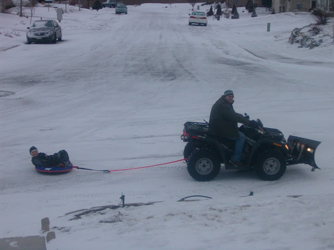 Now this is sledding with style